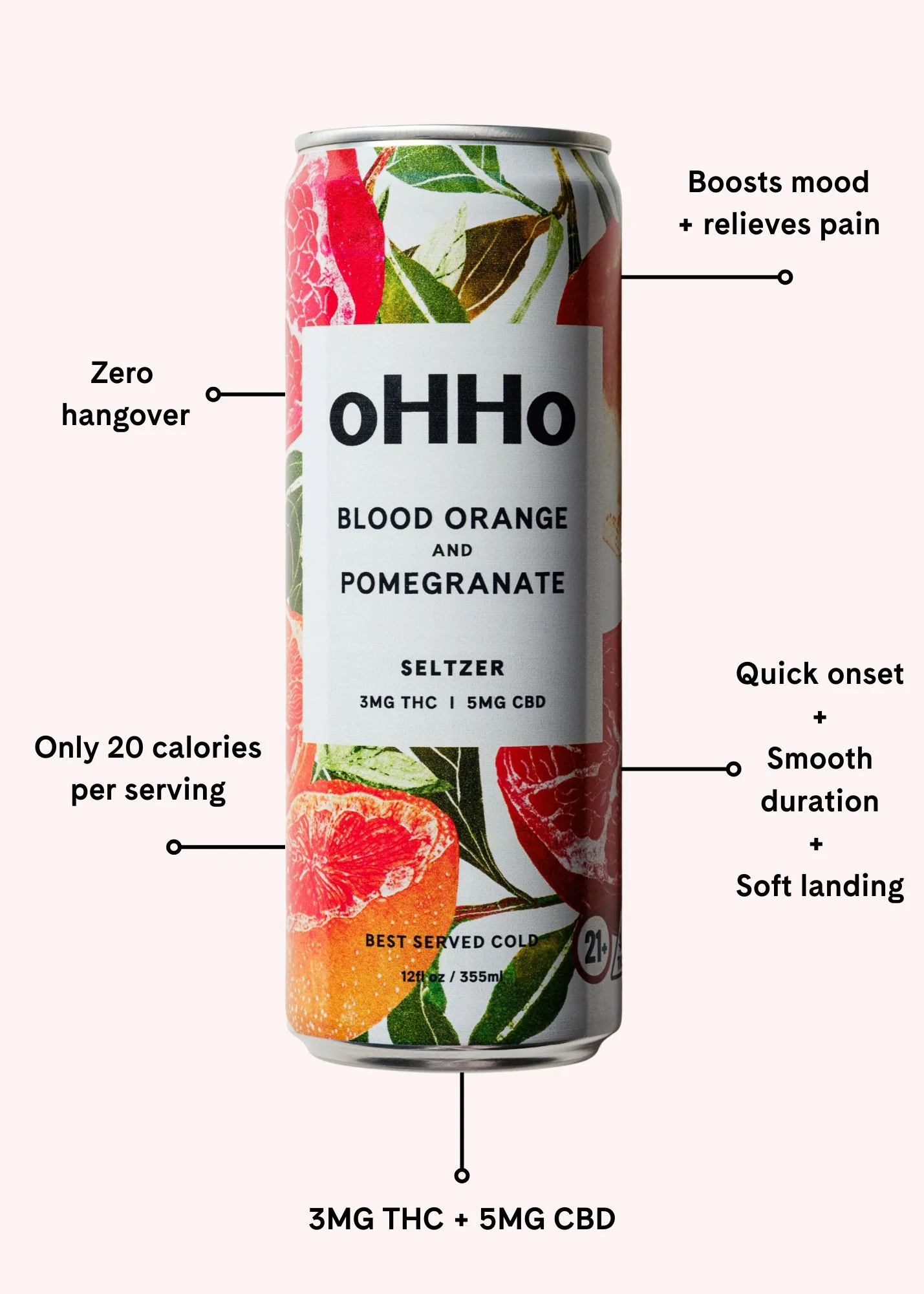 Blood Orange and Pomegranate Seltzer - Image 10
